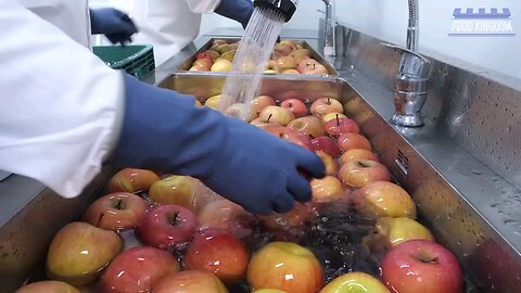 100 percent fruit juice the process of making clean apple juice in Korean factory