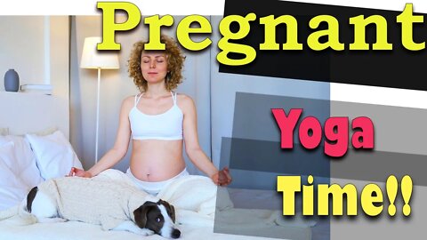 Pregnant morning yoga with my dog Molly.