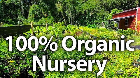 ALL ORGANIC 🌿 Online Nursery based in Florida!