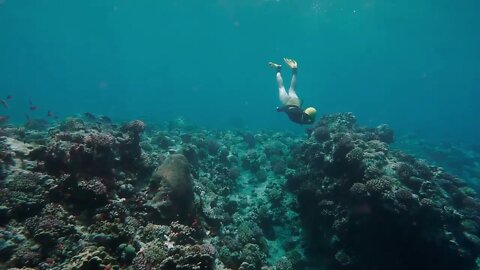 Free diver exploring coral reef in sea