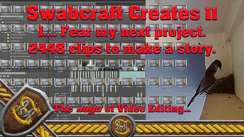 Swabcraft Creates 11: Video Editing. Eastern Pheobe Nest Footage.