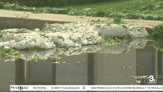 Storm cleanup begins around the Omaha metro