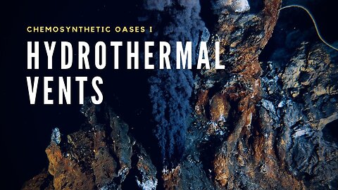 Hydrothermal Vents | Oases in the Deep Sea | Nature World Explore