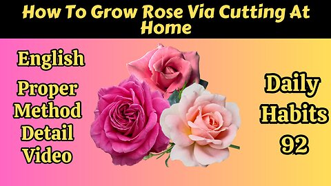 How To Grow Rose Via Cutting 🌹🌱🌿 | Proper Way To Grow Rose Via Cutting 🌸🌱🌿🌹