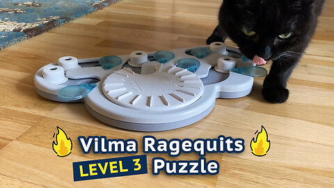 Vilma Ragequits Level 3 Puzzle!