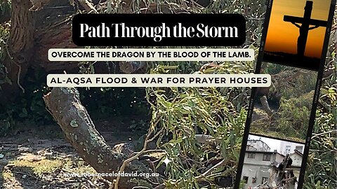 PATH THROUGH THE STORM