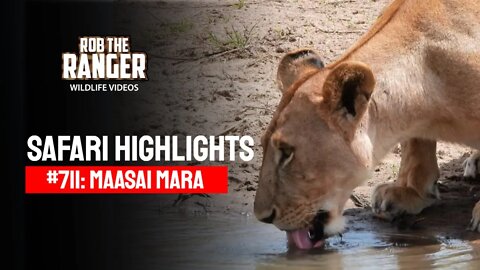 Safari Highlights #711: 27 August 2022 | Lalashe Maasai Mara | Latest Wildlife Sightings