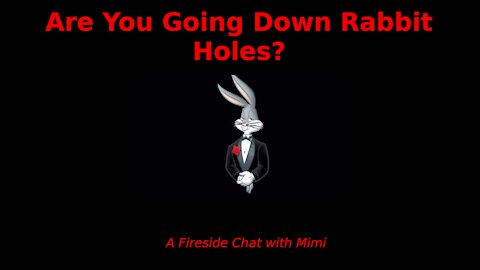 A Fireside Chat with Mimi - Human Beings Make Rabbit Holes
