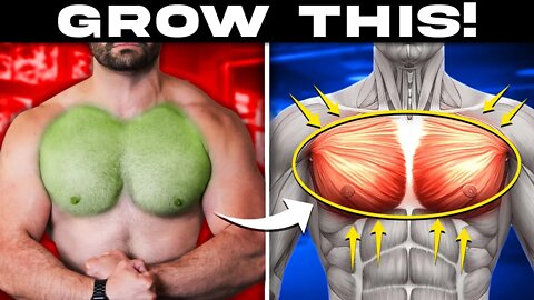 PERFECT Chest Workout! (Steal This For Bigger Pecs!)
