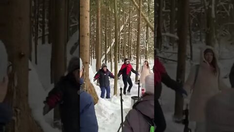 Защитники Троицкого леса в Новой Москве: «Мы за лес!»