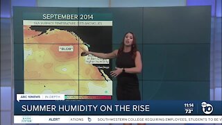 In Depth: Humidity on the Rise in San Diego