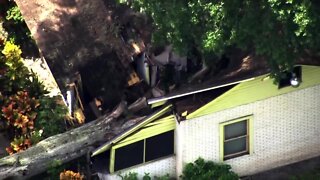 Large tree crashes through Florida woman's home