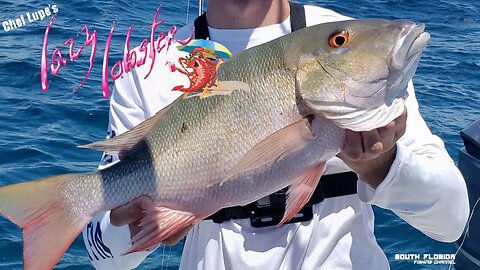 Mutton Snapper & Lazy Lobster in Key Largo | Catch and Cook