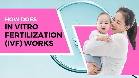 How Does In Vitro Fertilization Works