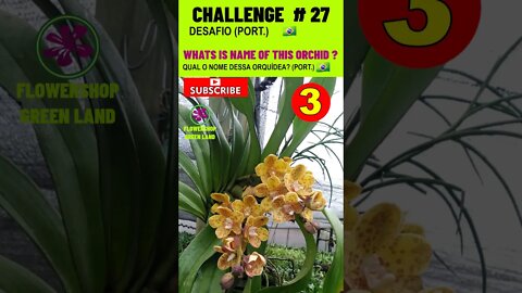 CHALLENGE # 27 |WHATS IS NAME OF THIS ORCHIDS?|YOU WANT TO LEARN? |# SHORT