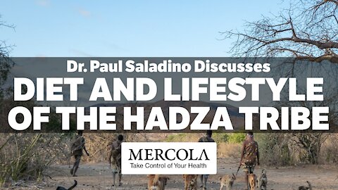Diet and Environment- Interview with Dr. Paul Saladino and Dr. Mercola