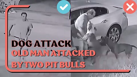 Dog Attack: Two Pit Bulls Attack Old Man, Example Of Right & Wrong Way To Defend Against Dog Attack