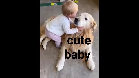 Cute baby dogs 🐶 🐕 🥰. New Funny video.dog's & cat's funny video.