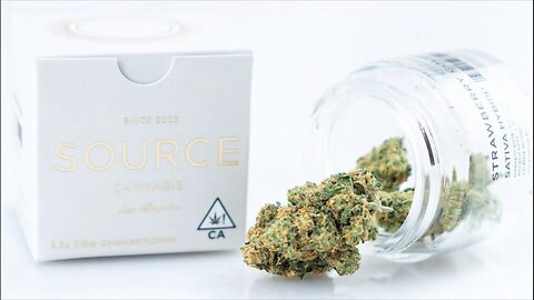 Source Cannabis SFV OG Review