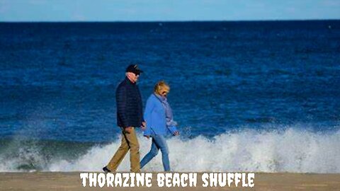 Joe Biden Performs Thorazine Beach Shuffle as World Burns