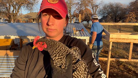 Expanding the chickens and garden.