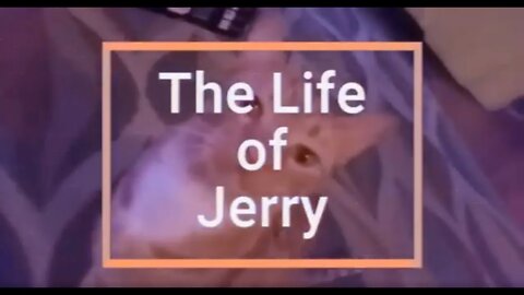 The Life of Jerry