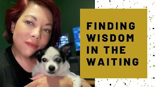 Wisdom & Life Lessons: Finding Wisdom in the Waiting
