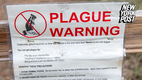 US patient dead from bubonic plague as concerns rise over 'ongoing risk' of rodent-borne disease