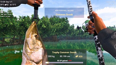 Common Snook on small cutbait, Fishing Planet