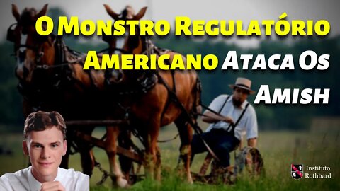 O Monstro Regulatório Americano Ataca Os Amish - Patrick Carroll