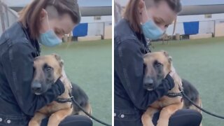 Incredible Moment When Dog Chooses Woman At The Shelter