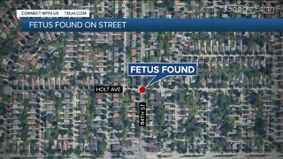 Dead fetus discovered in Milwaukee, police seeking mother