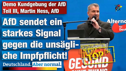 Demo Kundgebung der AfD Teil III Martin Hess AfD