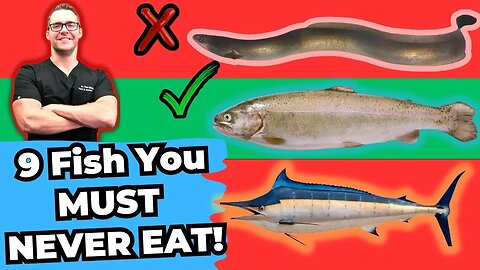 9 Fish You Must NEVER Eat! [Eat These INSTEAD]