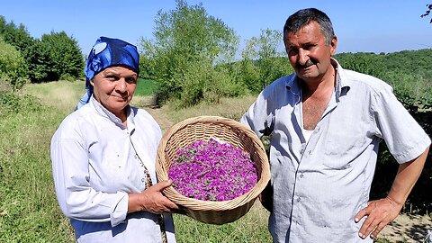 Lavender Oil and Uzbek Manti