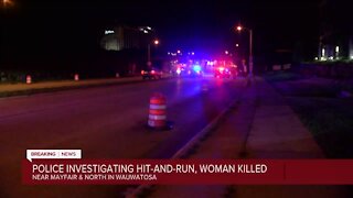 Police investigating deadly hit and run