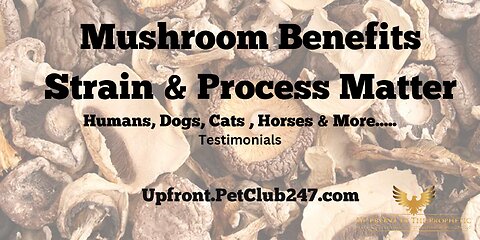 Mushroom Benefits, Strain & Process Matter: Testimonials...