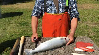 How fillet a salmon