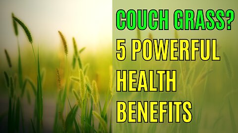 The Incredible Health Benefits of Couch Grass