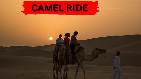 Camel In Desert Videos ll Epic Fail ll
