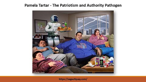 Banned by YouTube - Pamela Tartar - The Patriotism and Authority Psyop (July 2014)