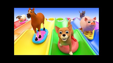 Animals for Kids and Toddlers SLIDDING INTO THE WATER, Funny Animals Videos for Kids and Songs