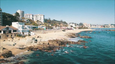 Algarrobo beach and wild birds in Chile