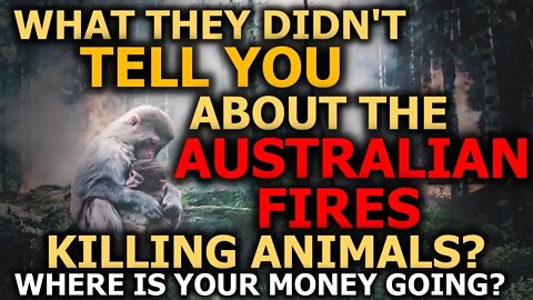 Australian Fires: They Didn't Tell You THIS That Took $1.2 Million & 5 Days To KILL!?