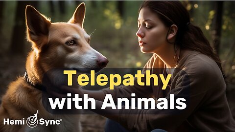 How To Communicate With Animals | Anyone Can Learn Animal Telepathy | Patty Summers #animalpsychic