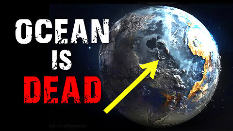 Scientists: Humanity Has Killed the Ocean! What Will the Consequences Be?