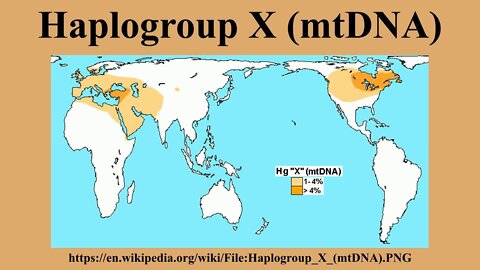 Haplogroup X