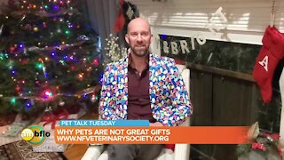 Pet Talk Tuesday – Why pets are not great holiday gifts