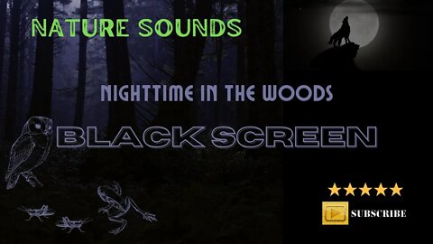 nature sounds in the woods at night with black screen