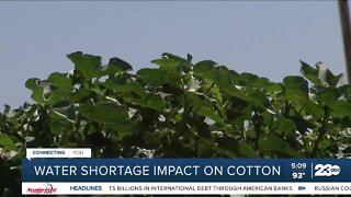 Water shortage impacting California cotton farmers